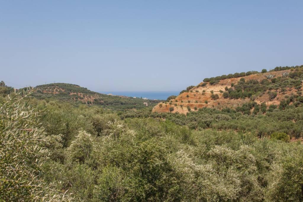 Villa Manolis *
